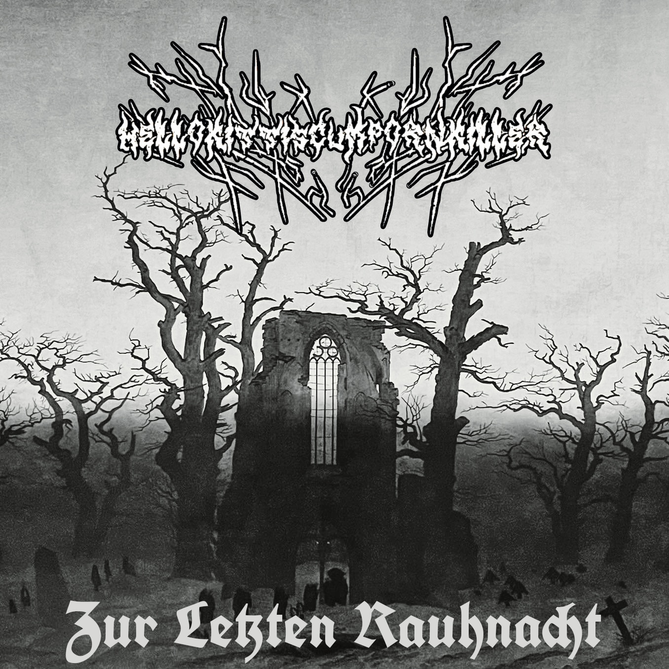Zur letzten Rauhnacht Cover
